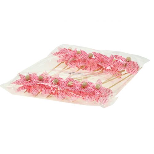 Floristik24 Mulino a vento Mini rosso-bianco Ø9cm 12 pezzi