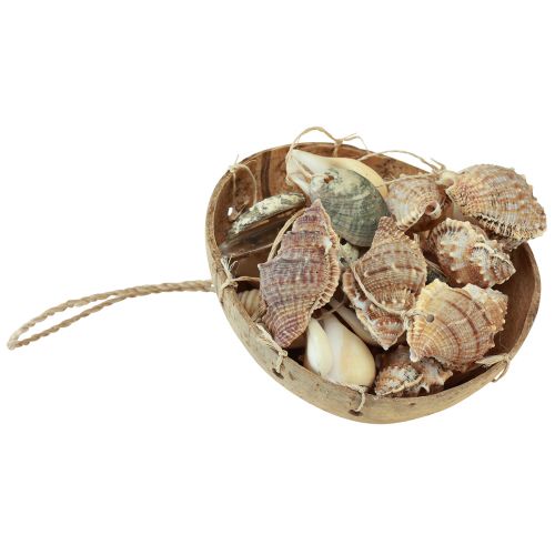 Prodotto Campanella a vento decorazione marittima con cocco naturale Ø12,5 cm 48 cm