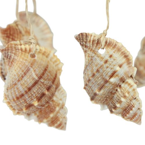 Prodotto Campanella a vento decorazione marittima con cocco naturale Ø12,5 cm 48 cm