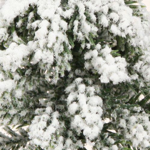 Floristik24 Decorazione invernale Albero di Natale in verde bianco Ø7cm H14cm 4 pezzi