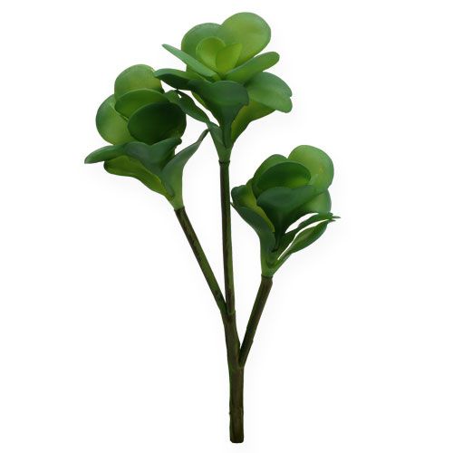 Floristik24 Piante artificiali Desert Cabbage Green 25cm 3pcs