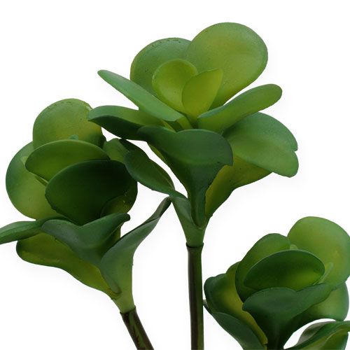 Floristik24 Piante artificiali Desert Cabbage Green 25cm 3pcs