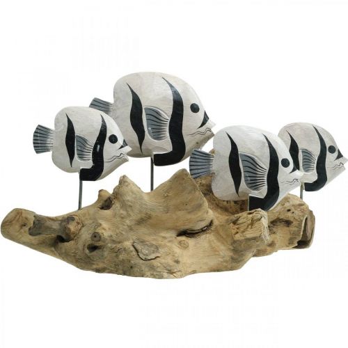 Floristik24 Espositore decorativo in radica di pesce in piedi Decorazione marittima 38cm