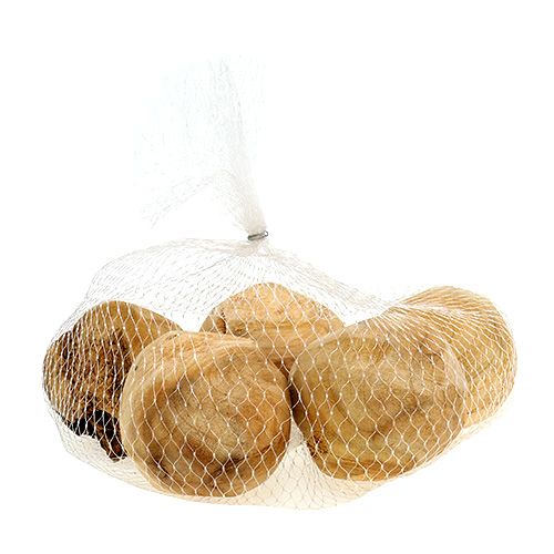 Floristik24 Polpetta di radice in legno di abete Ø7cm naturale 5 pz