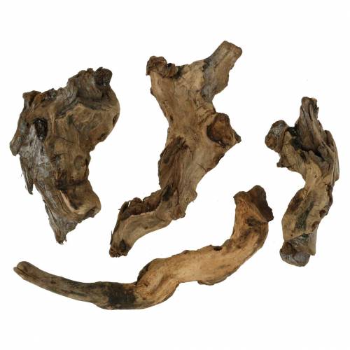 Floristik24 Radice decorativa naturale 1kg