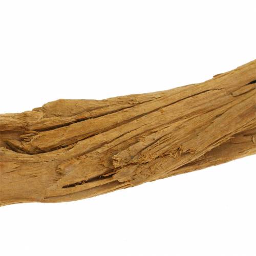 Floristik24 Legno decorativo e radici marroni 1kg