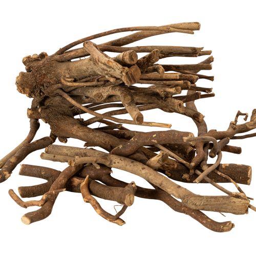 Rami e portainnesti decorativi in legno, essiccati naturalmente, 18 cm, 500 g