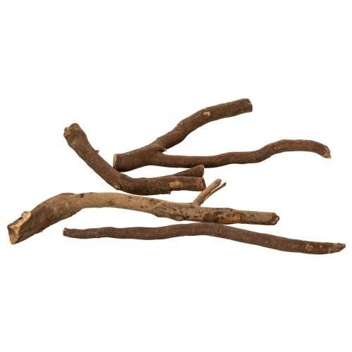 Rami e portainnesti decorativi in legno, essiccati naturalmente, 18 cm, 500 g | Floristik24.it
