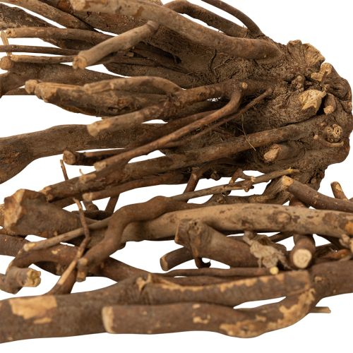Rami e portainnesti decorativi in legno, essiccati naturalmente, 18 cm, 500 g | Floristik24.it