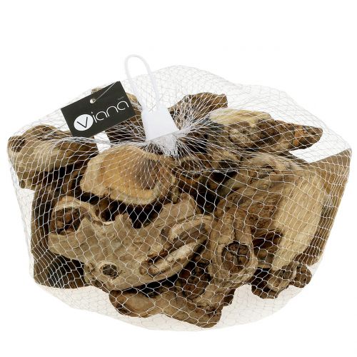 Floristik24 Pezzi di radice naturali 500g