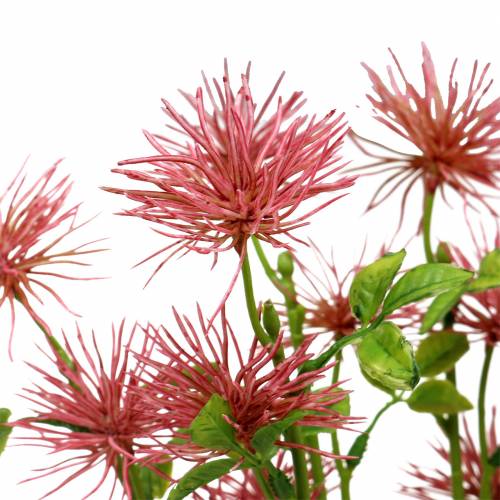 Floristik24 Fiore di seta di xantio rosa scuro 53cm 6pz