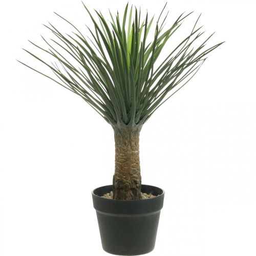 Prodotto Yucca artificiale in vaso Pianta di palma artificiale in vaso H52cm