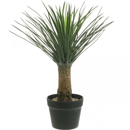 Floristik24 Yucca artificiale in vaso Pianta di palma artificiale in vaso H52cm