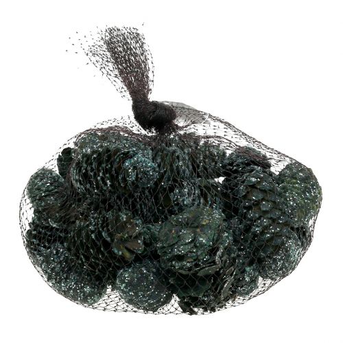 Floristik24 Coni mix verde ghiacciato 200g