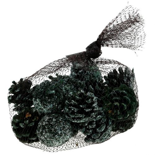 Floristik24 Pigne verdi ghiacciate 200g