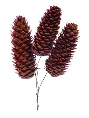 Coni di abete rosso cerato cablati 200 pezzi