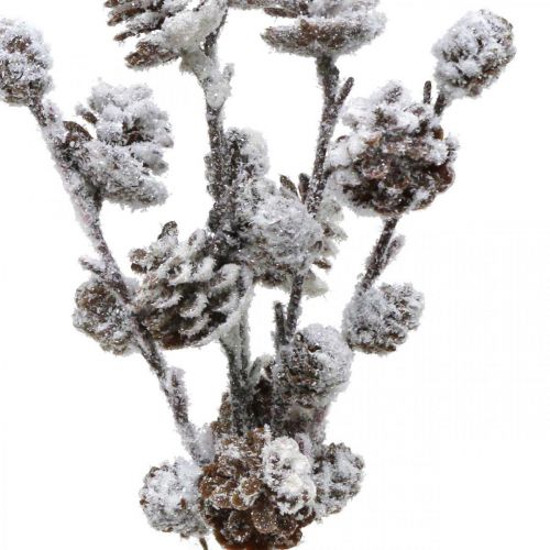 Ramo di cono di rami di Natale Nevicato 30 cm 5 pezzi in mazzo