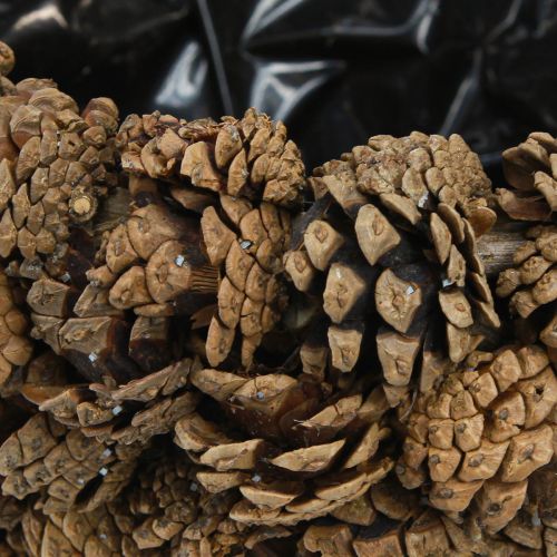 Prodotto Cesto porta piante conico con pigne naturali Ø33cm H17cm