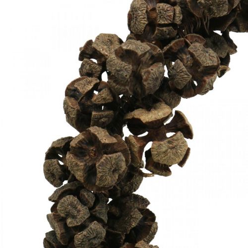 Prodotto Ghirlanda di coni Ghirlanda di coni di cipresso per appendere la natura Ø25cm