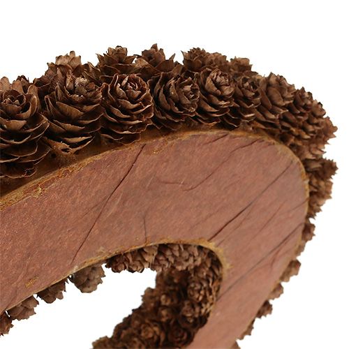 Floristik24 Ghirlanda di coni Ø31cm marrone