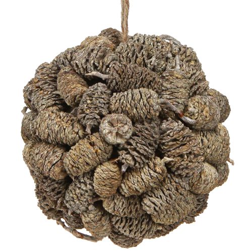 Floristik24 Cono a sfera per appendere pigne di ontano, sbiancato, 12 cm