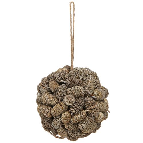 Floristik24 Cono a sfera per appendere pigne di ontano, sbiancato, 12 cm