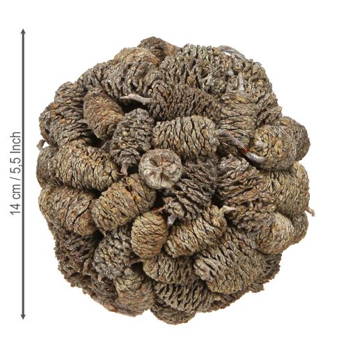 Prodotto Cono a sfera per appendere pigne di ontano, sbiancato, 12 cm