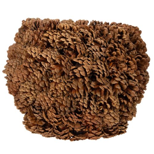 Vaso decorativo con pigne,