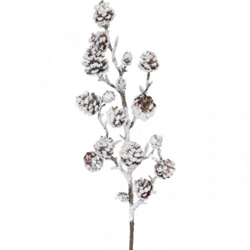 Floristik24 Ramo di Natale ramo decorativo ramo di cono innevato 72 cm