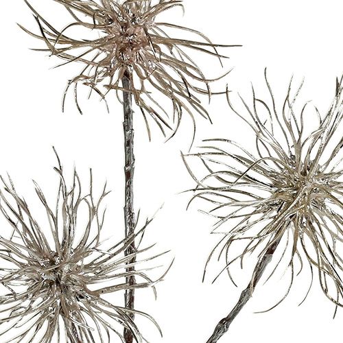 Prodotto Ramo di amamelide champagne 45 cm 3 pz