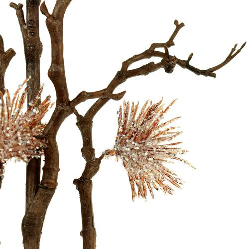 Floristik24 Ramo di amamelide champagne 112cm
