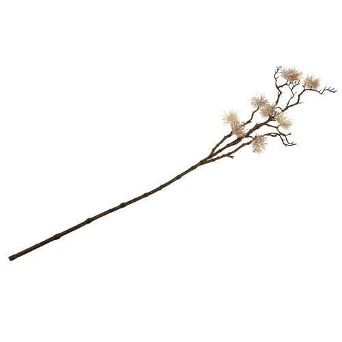 Floristik24 Ramo di amamelide champagne 112cm
