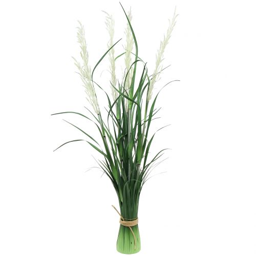 Floristik24 Erba ornamentale Erba della pampa con fronde verde/crema H107cm