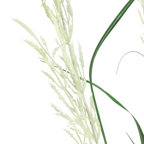 Floristik24 Erba ornamentale Erba della pampa con fronde verde/crema H107cm