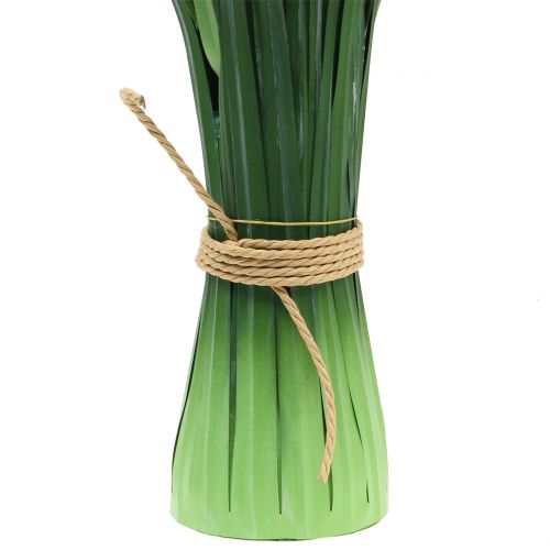 Floristik24 Erba ornamentale Erba della pampa con fronde verde/crema H107cm