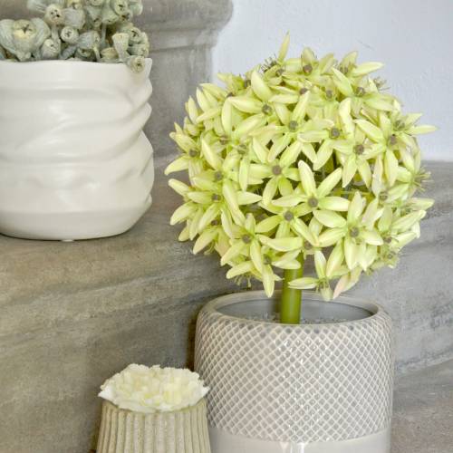 Prodotto Cipolla ornamentale Allium, fiore di seta, palla artificiale verde porro Ø20cm L72cm