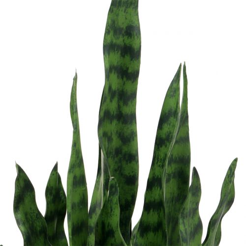 Prodotto Sansevieria artificiale in vaso H62cm