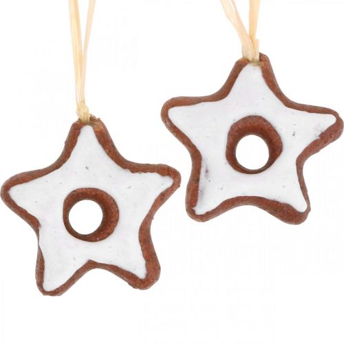 Floristik24 Decorazioni per l&#39;albero di Natale stelle di cannella stella decorativa in plastica 5 cm 24 pezzi