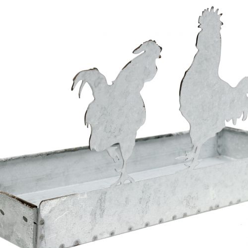 Floristik24 Vassoio di zinco con polli 30cmx12cm A15,5cm