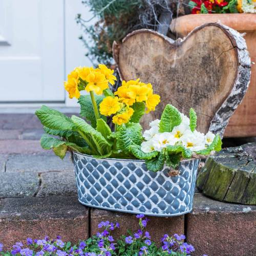 Floristik24 Ciotola in zinco diamante con manici in corda ovali 32cm H15cm