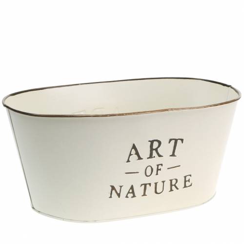 Floristik24 Fioriera ovale crema di zinco 27×18 cm H12,5 cm