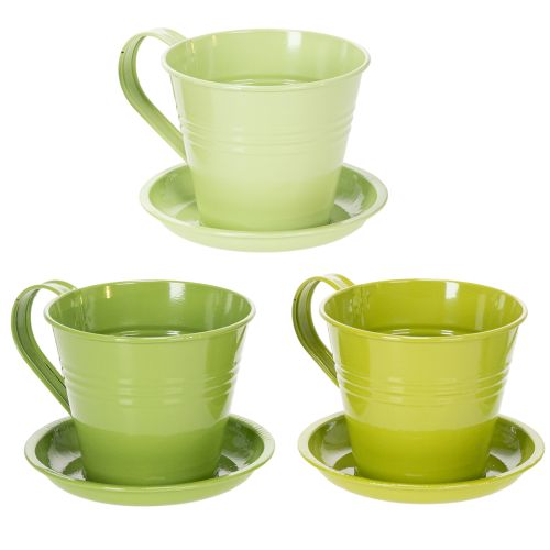 Floristik24 Tazza per piantare, elegante vaso per idee decorative individuali, 11 cm, 6 pezzi