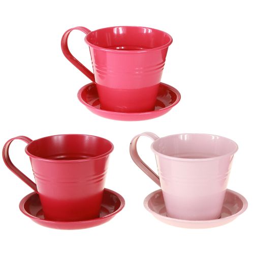 Floristik24 Tazza da piantare con piattino per giardini creativi, 11 cm, 6 pezzi