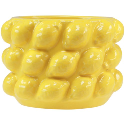 Floristik24 Vaso da fiori in ceramica giallo limone Ø18cm H13cm