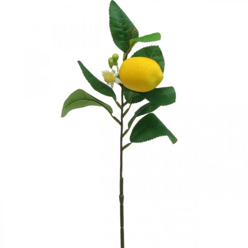 Floristik24 Ramo decorativo limone ramo di limone artificiale 42cm 3pz