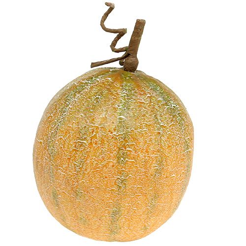 Floristik24 Melone decorativo melone Ø14cm