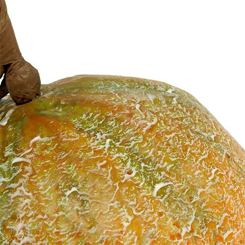 Floristik24 Melone decorativo melone Ø14cm