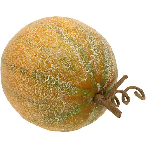 Floristik24 Melone decorativo melone Ø14cm