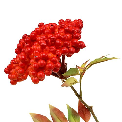 Floristik24 Ramo con frutti di bosco arancione 53 cm