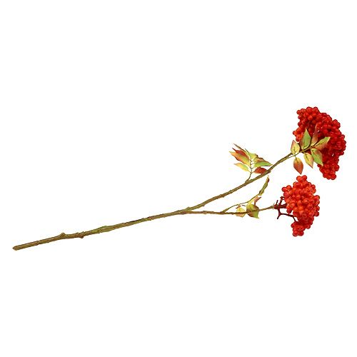 Floristik24 Ramo con frutti di bosco arancione 53 cm